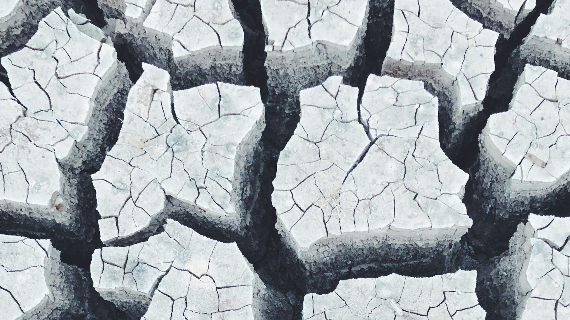 a person standing in the middle of a cracked road
