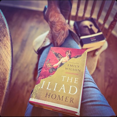 When Words Take Flight: Notes and Favorite Lines from The Iliad